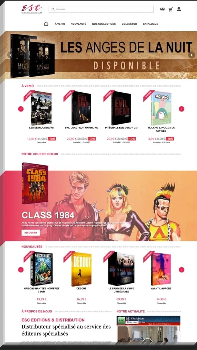 Capture de la page d’accueil de ESC Distribution